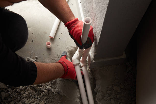 Best Plumbing Repair Near Me  in Roaming Shores, OH